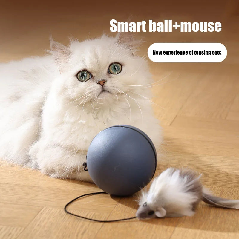 Ontketen het plezier met Kimpets Cat Teaser Ball