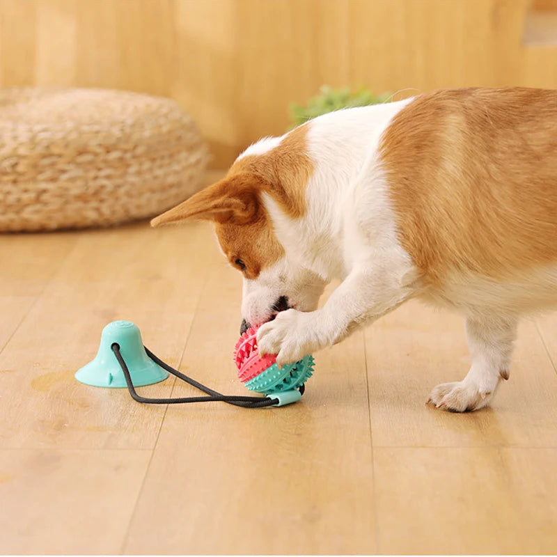 Speeltijd met Kimpets kauw- en schoonzuigspeeltje