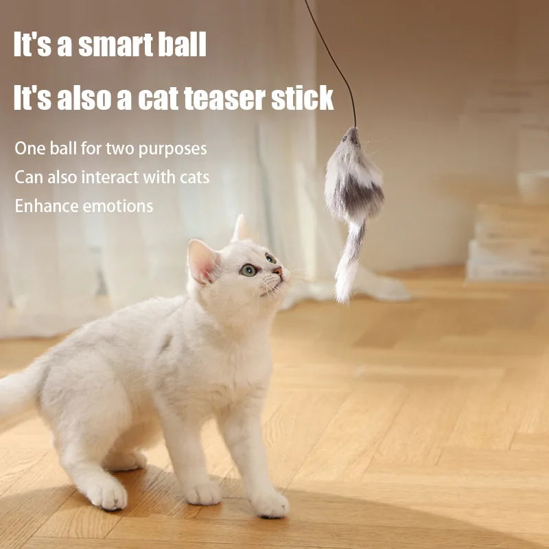 Ontketen het plezier met Kimpets Cat Teaser Ball