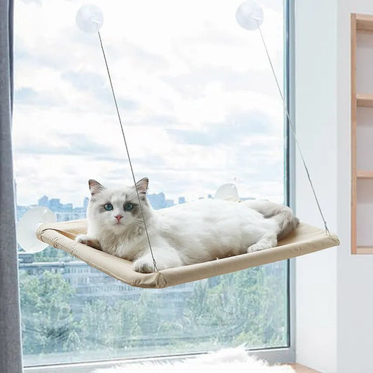 Foldable cat window hammock with perch